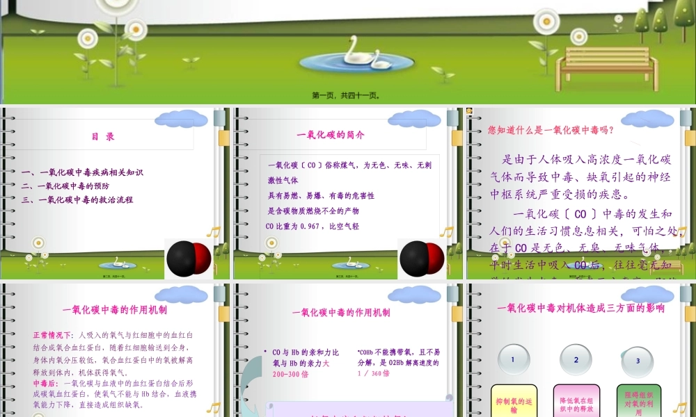 CO中毒的宣教.pptx