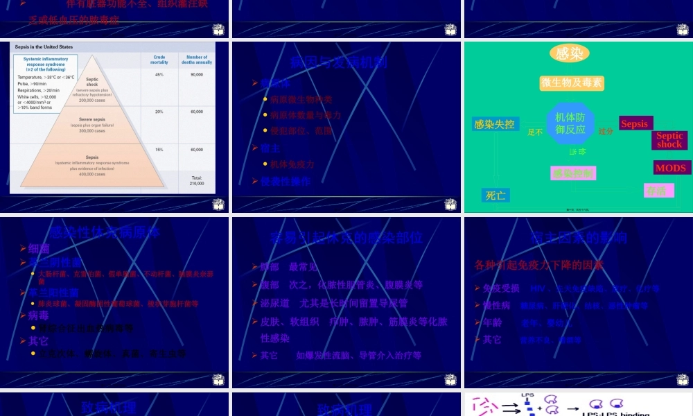 CP4-12感染性休克概述.pptx