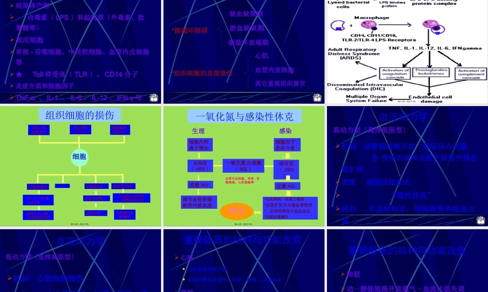 CP4-12感染性休克概述.pptx