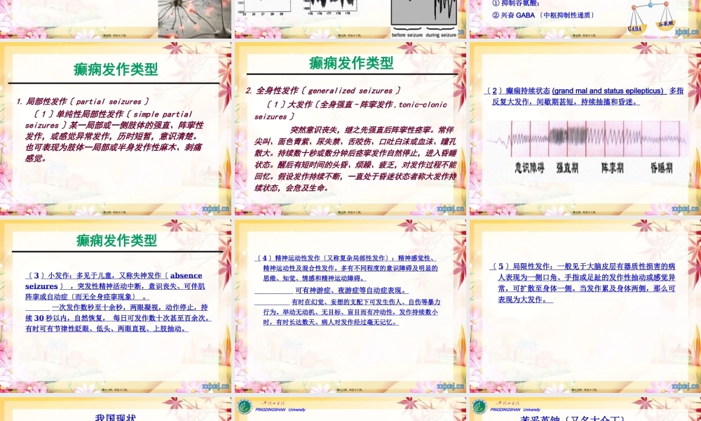 cq13抗癫痫、抗惊厥药教程.pptx