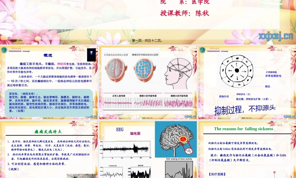 cq13-抗癫痫、抗惊厥药解读.pptx