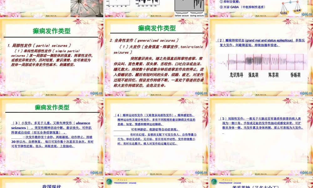 cq13-抗癫痫、抗惊厥药解读.pptx