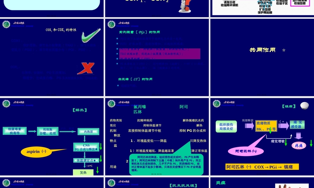 cq18--解热镇痛抗炎.pptx
