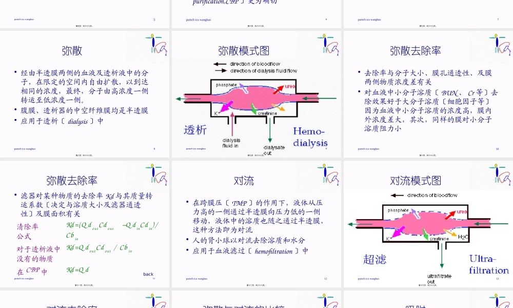 CRRT连续性血液净化.pptx