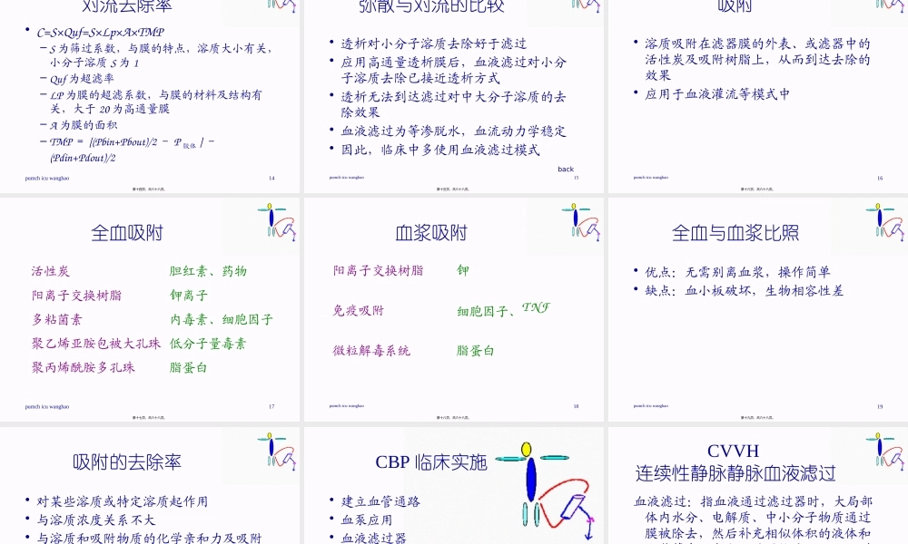 CRRT连续性血液净化.pptx