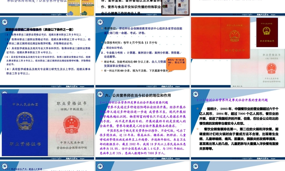 ding-公共营养师职业内涵与发展.pptx
