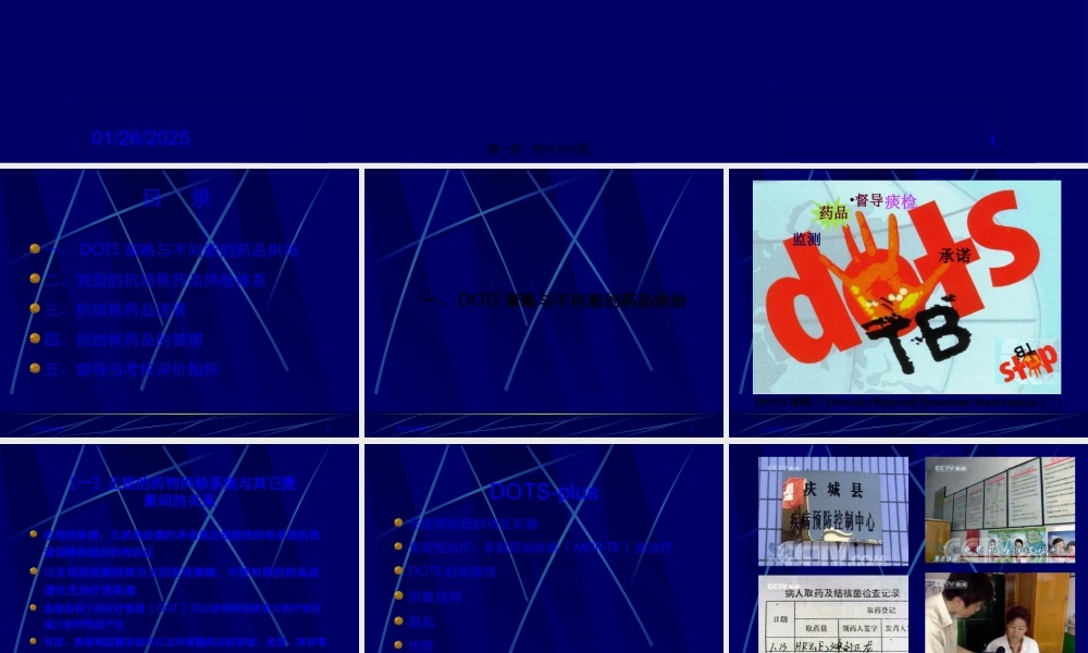 DOTS与药品.pptx