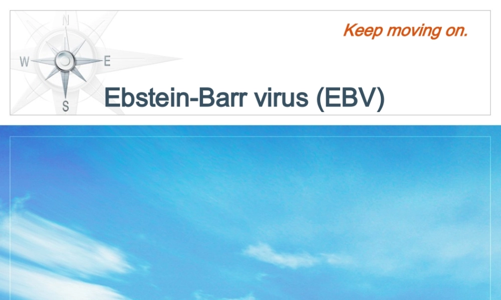 EBV及传染性单核细胞增多症.pptx