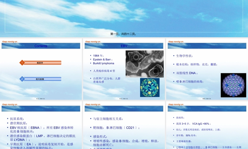 EBV及传染性单核细胞增多症.pptx