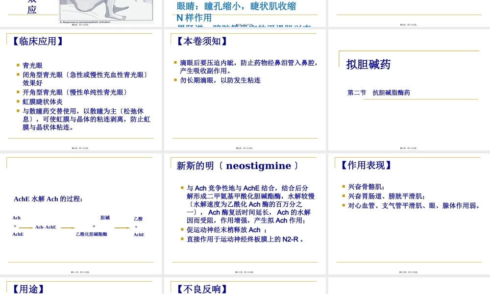 f拟胆碱药.pptx
