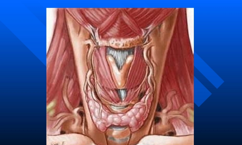 Graves病诊治新思路huang.pptx