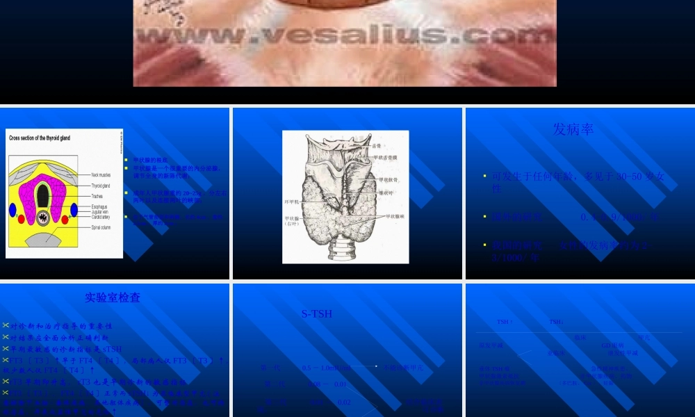Graves病诊治新思路huang.pptx