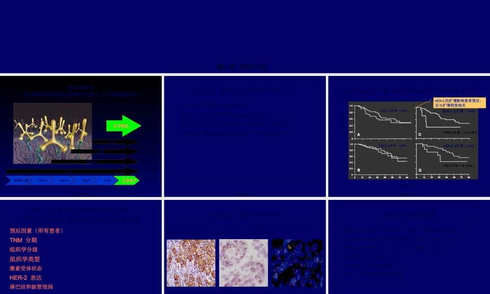 HER2阳性乳腺癌诊疗专家共识剖析.pptx