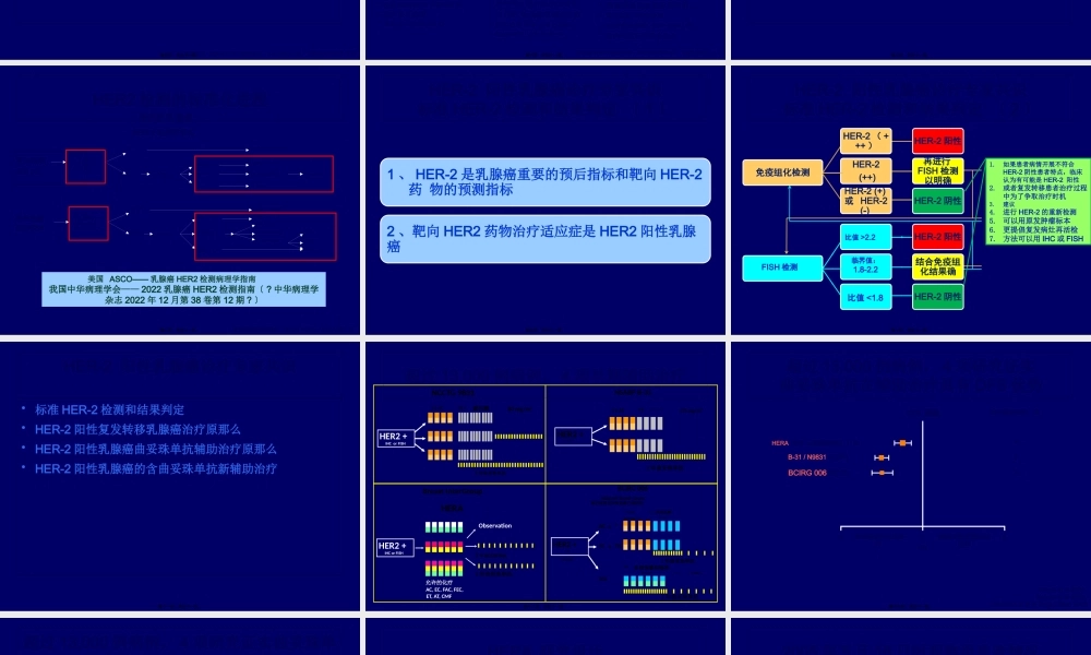 HER2阳性乳腺癌诊疗专家共识剖析.pptx