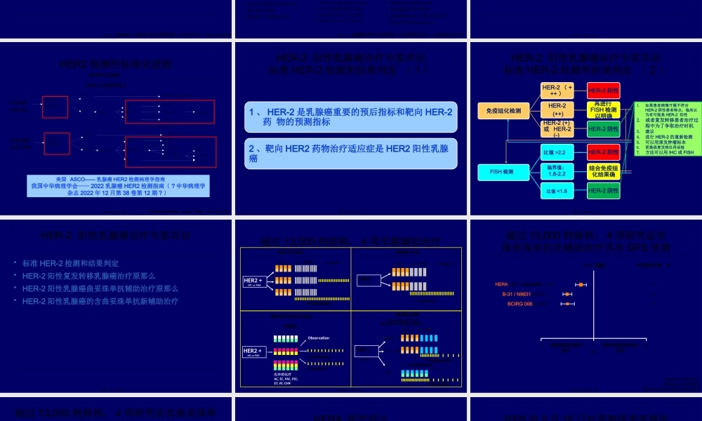 HER2阳性乳腺癌诊疗专家共识.pptx