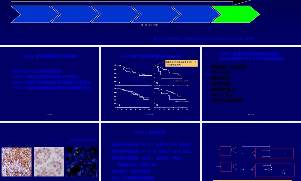 HER阳性乳腺癌诊疗专家共识.ppt
