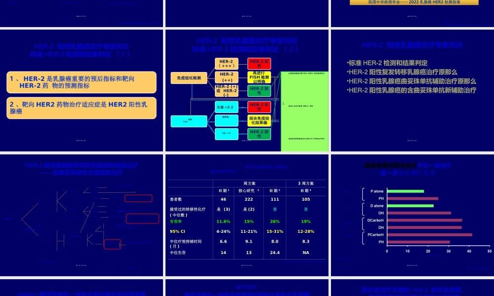 HER阳性乳腺癌诊疗专家共识.ppt