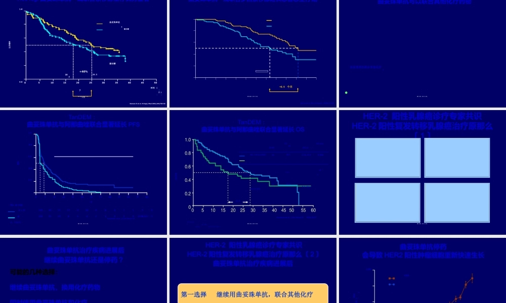 HER阳性乳腺癌诊疗专家共识.ppt