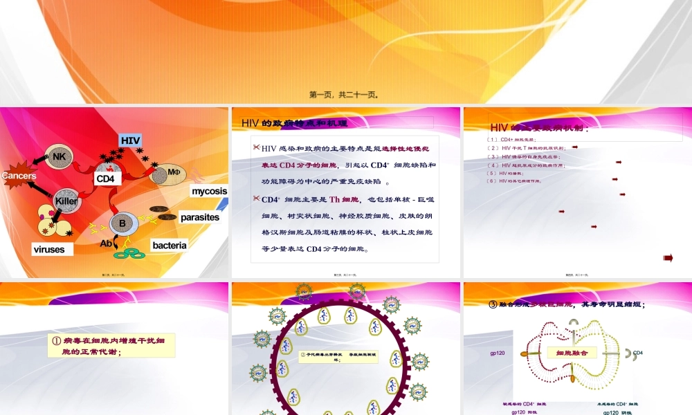 HIV的致病机制.pptx