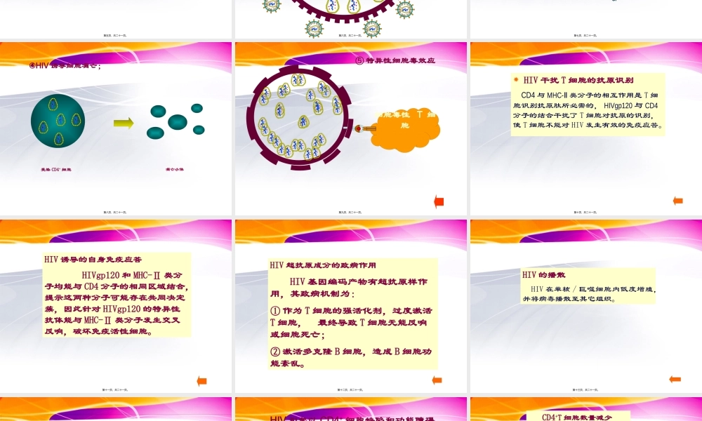 HIV的致病机制.pptx