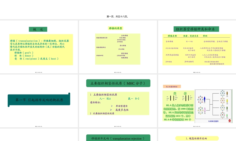 HLA和ABO血型配型.pptx