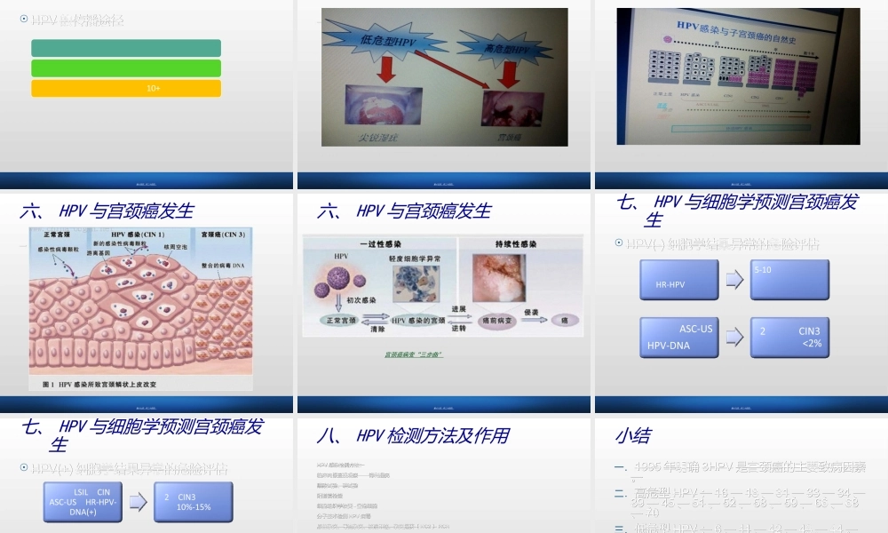 HPV感染与宫颈癌.ppt