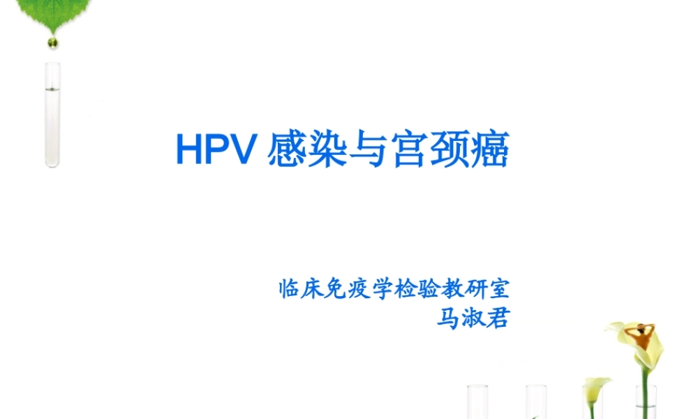 HPV感染与宫颈癌.pptx