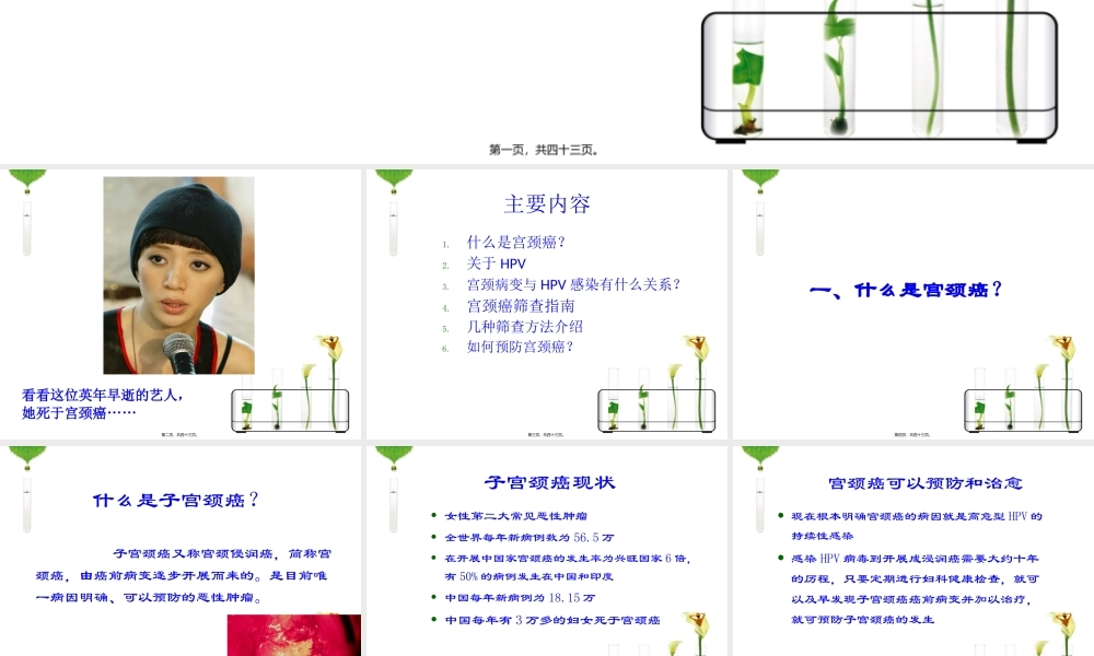 HPV感染与宫颈癌.pptx