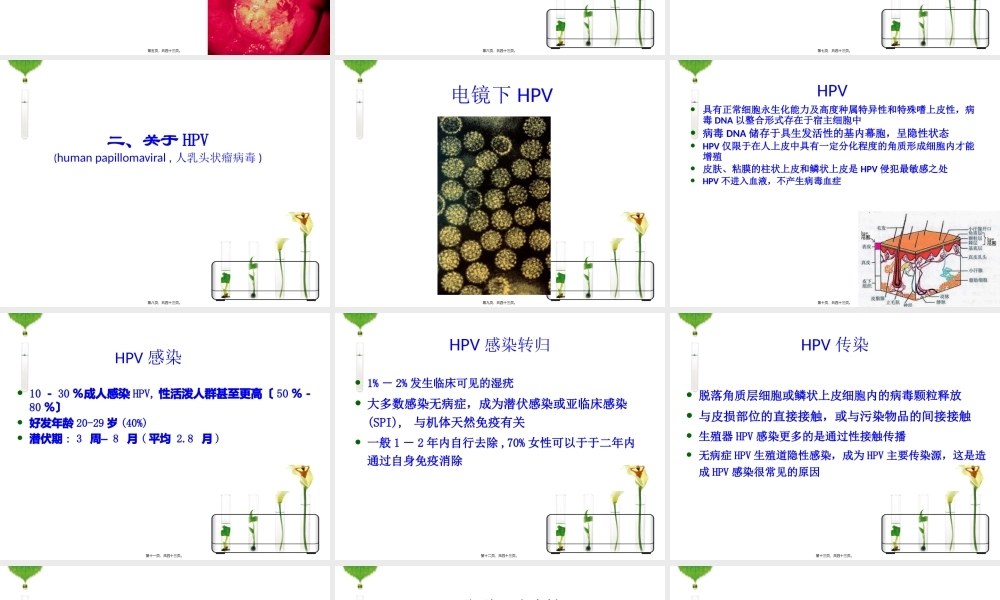 HPV感染与宫颈癌.pptx