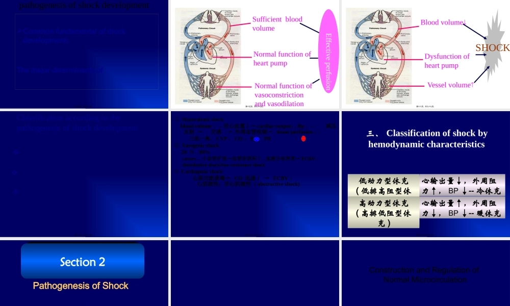 Hypovolemic-Shock-(低血容量性休克).pptx