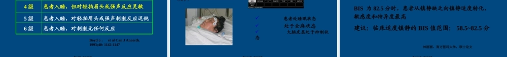 ICU患者的镇静镇痛问题详解.pptx