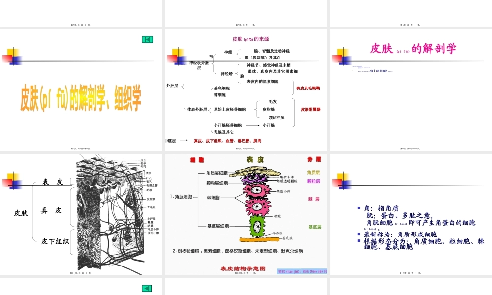 2022年医学专题—皮肤科总论.ppt