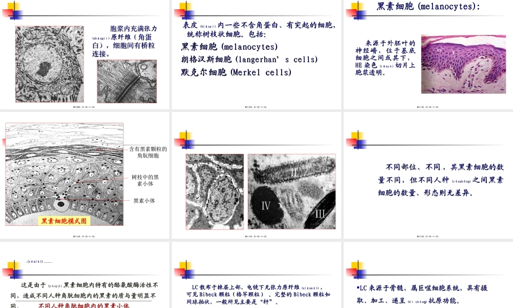 2022年医学专题—皮肤科总论.ppt
