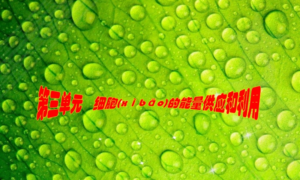 2022年医学专题—第三单元第9讲细胞的能量供应和利用2.ppt