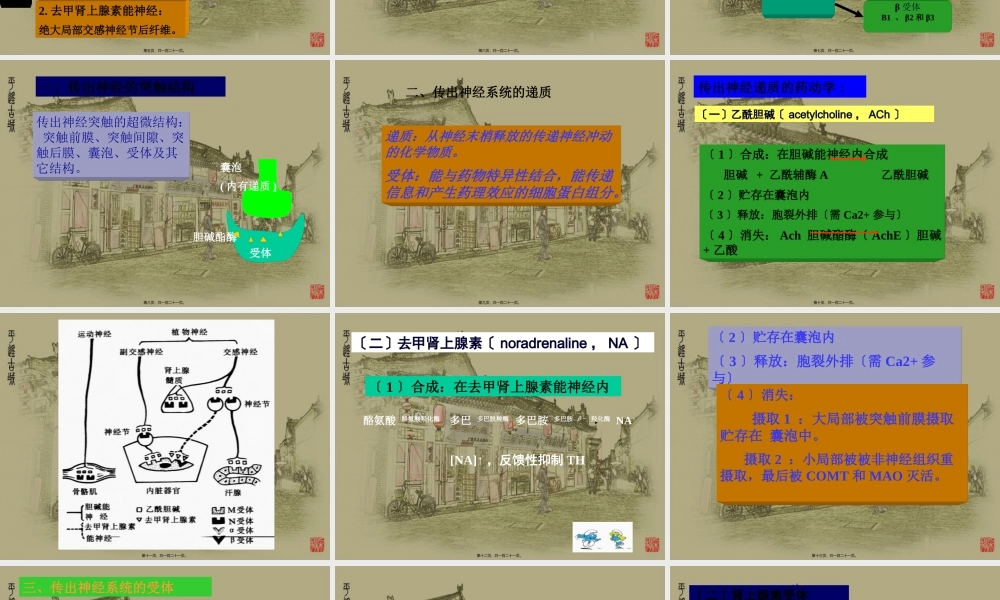 5传出神经系统药.pptx