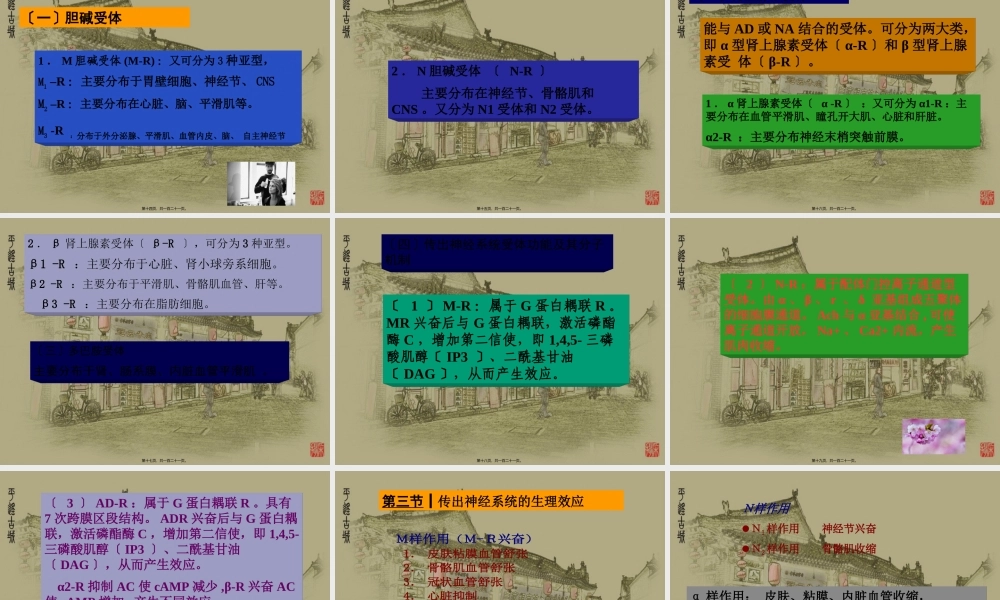 5传出神经系统药.pptx