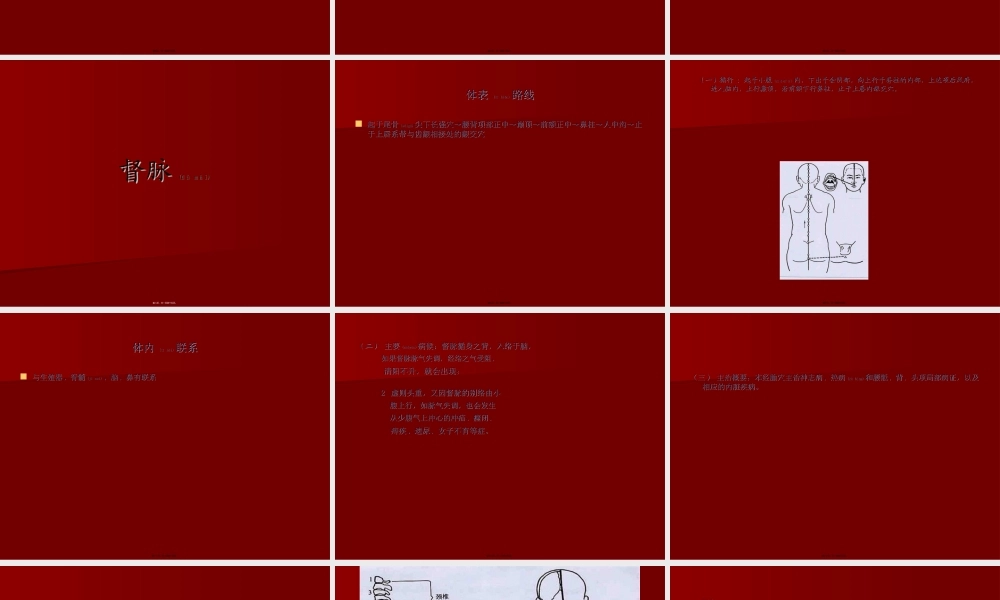 2022年医学专题—奇-经-八-脉.ppt