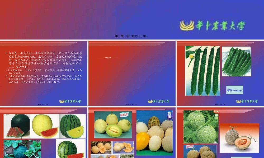 2022年医学专题—瓜类蔬菜栽培生理.ppt