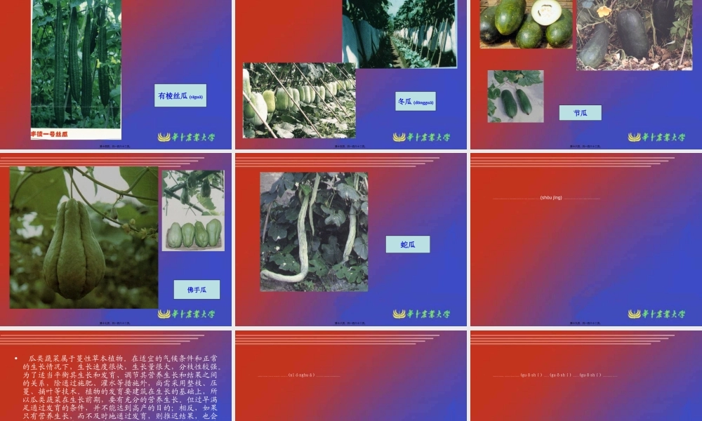 2022年医学专题—瓜类蔬菜栽培生理.ppt