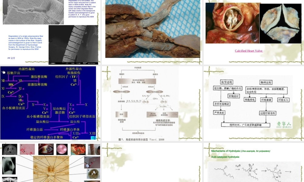 2022年医学专题—第八章医用高分子的稳定与降解new案例.ppt