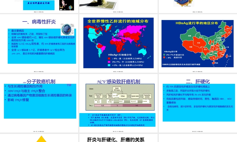 5-肝癌--2013.pptx