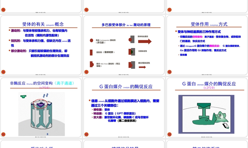 2022年医学专题—精神药理基础-精华版.pptx