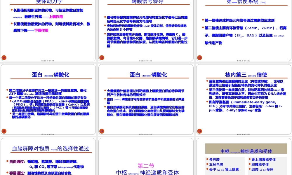 2022年医学专题—精神药理基础-精华版.pptx