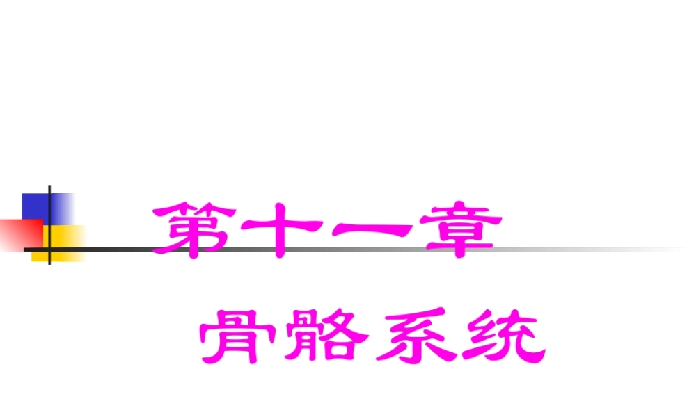 9第十一章骨显像.pptx