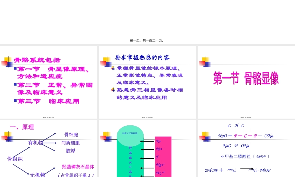 9第十一章骨显像.pptx