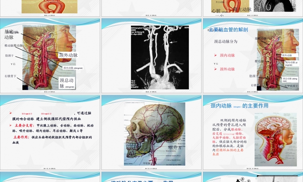 2022年医学专题—脑血管病总论-第四军医大学唐都医院神经外科王学廉.ppt
