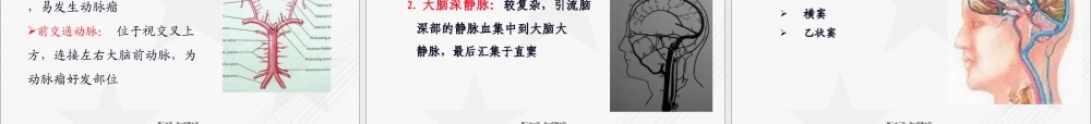 2022年医学专题—脑血管病总论-第四军医大学唐都医院神经外科王学廉.ppt