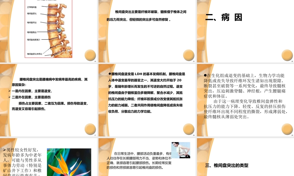 34骨科-腰椎间盘突出症诊治PPT课件(1).ppt