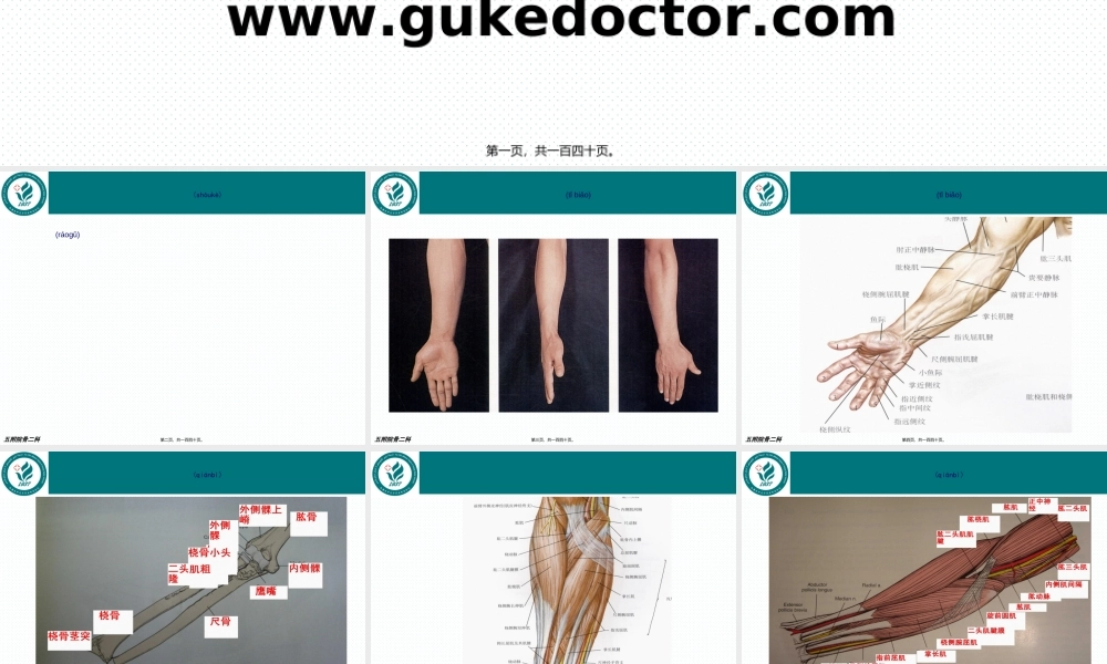 2022年医学专题—前臂骨折.ppt