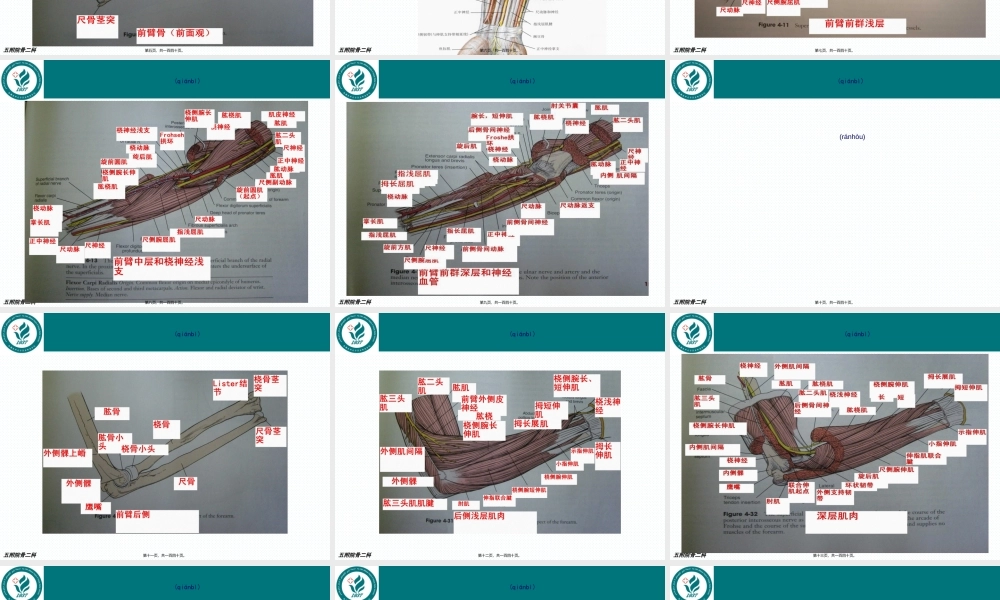 2022年医学专题—前臂骨折.ppt